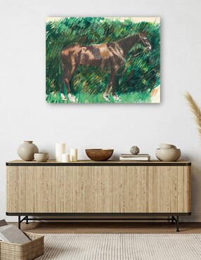 Cuadro decorativo Un caballo técnica mixta Cuadros Jr Campos