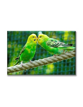 Cuadro decorativo Industria Grafica Ciento 23 Pericos australianos