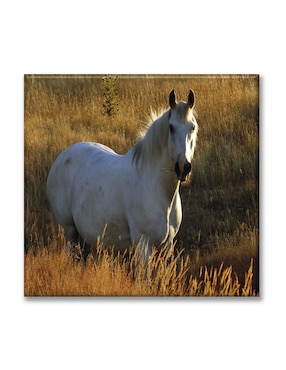 Cuadro Decorativo Industria Gráfica Ciento 23 Caballo Blanco