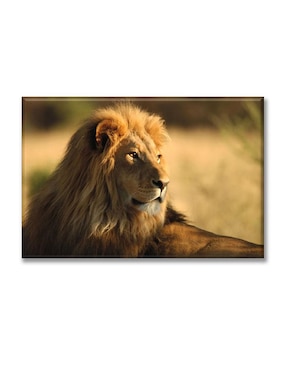 Cuadro decorativo Industria Grafica Ciento 23 rey de la selva