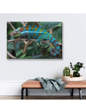 Cuadro decorativo Industria Grafica Ciento 23 pixtreats reptil de la fauna silvestre