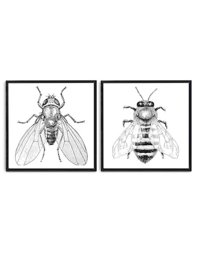 Cuadro Decorativo Canvas Art Set Par De Insectos Con Barniz A Registro