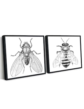 Cuadro decorativo Canvas Art Set par de insectos con barniz a registro