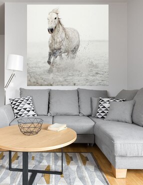 Cuadro decorativo Cabalgata técnica mixta Cuadros Jr Vida Silvestre