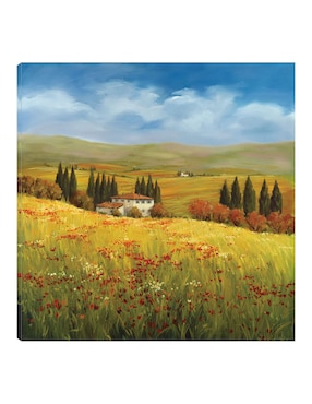 Cuadro decorativo Esplendor de la toscana técnica mixta Cuadros Jr Caminos