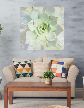 Cuadro decorativo Belleza de las suculentas técnica mixta Cuadros Jr Floración