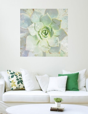 Cuadro decorativo Belleza de las suculentas técnica mixta Cuadros Jr Floración