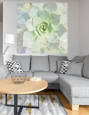 Cuadro decorativo Belleza de las suculentas técnica mixta Cuadros Jr Floración