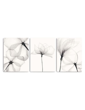 Set Cuadro Decorativo Canvas Art Acuarela Blanco Negro Flores Con Barniz A Registro