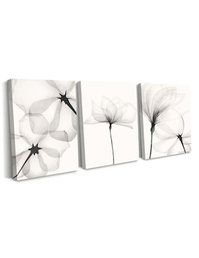 Cuadro decorativo Canvas Art set de acuarela blanco negro flores con barniz a registro