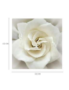 Cuadro decorativo Gardenia desteñida técnica mixta Cuadros Jr Floración