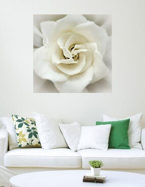 Cuadro decorativo Gardenia desteñida técnica mixta Cuadros Jr Floración