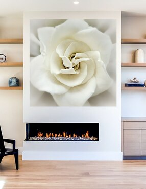 Cuadro decorativo Gardenia desteñida técnica mixta Cuadros Jr Floración