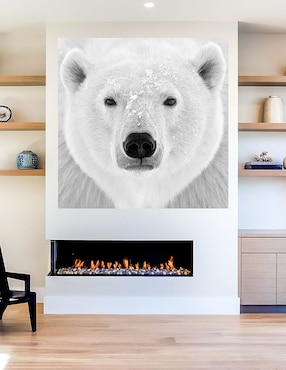Cuadro decorativo Oso polar técnica mixta Cuadros Jr Vida Silvestre