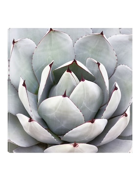 Cuadro decorativo Gris desértico técnica mixta Cuadros Jr Floración