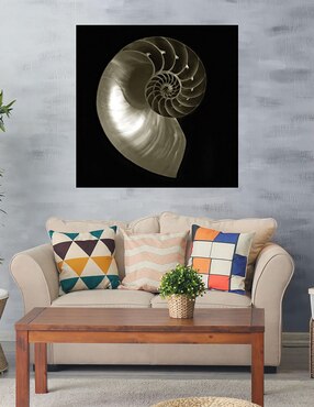 Cuadro decorativo Nautilo sobre negro técnica mixta Cuadros Jr Animales Marinos