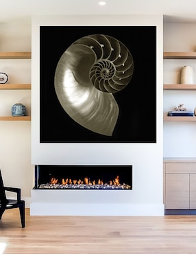Cuadro decorativo Nautilo sobre negro técnica mixta Cuadros Jr Animales Marinos
