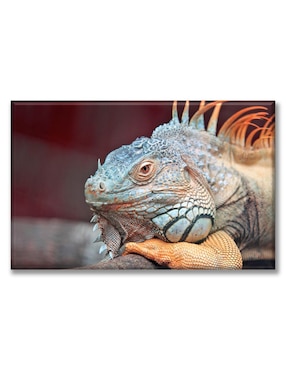 Cuadro decorativo Industria Grafica Ciento 23 Iguana de perfil