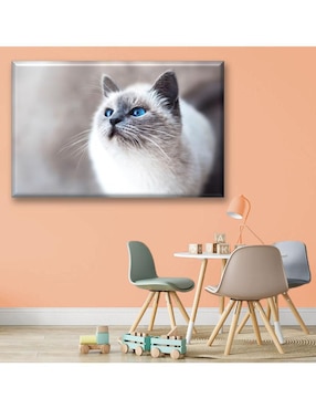 Cuadro decorativo Industria Grafica Ciento 23 Gatos ojos azules