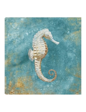Cuadro decorativo Tesoros del mar I técnica mixta Cuadros Jr Animales Marinos