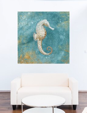 Cuadro decorativo Tesoros del mar I técnica mixta Cuadros Jr Animales Marinos