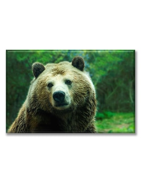 Cuadro Decorativo Industria Gráfica Ciento 23 Oso Grizzly