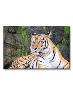Cuadro decorativo Industria Grafica Ciento 23 Tigre