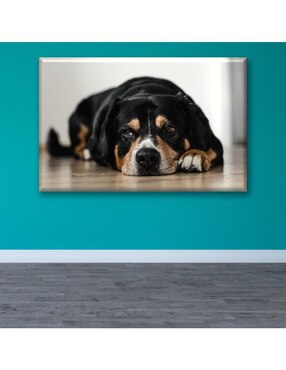 Cuadro decorativo Industria Grafica Ciento 23 Gran boyero acostado