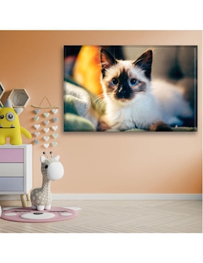 Cuadro decorativo Industria Grafica Ciento 23 Gatito siamés