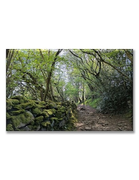 Cuadro Decorativo Industria Gráfica Ciento 23 Camino De Piedras En El Bosque