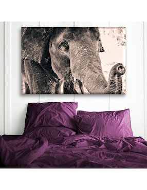 Cuadro decorativo Industria Grafica Ciento 23 Elefante