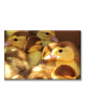Cuadro decorativo Industria Grafica Ciento 23 Patitos