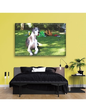 Cuadro decorativo Industria Grafica Ciento 23 Gran danés