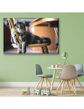 Cuadro decorativo Industria Grafica Ciento 23 Gato descansando