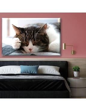 Cuadro decorativo Industria Grafica Ciento 23 Gato dormilón