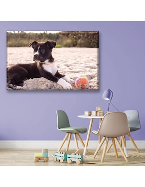 Cuadro decorativo Industria Grafica Ciento 23 Cachorro en la playa