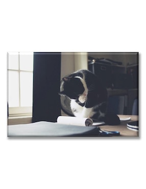 Cuadro decorativo Industria Grafica Ciento 23 Gatito estudiando