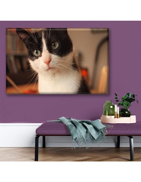 Cuadro decorativo Industria Grafica Ciento 23 Gato manchas de vaca
