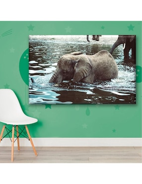Cuadro decorativo Industria Grafica Ciento 23 Elefante nadando