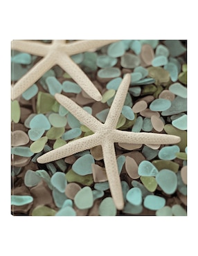 Cuadro decorativo Acuático 1 técnica mixta Cuadros Jr Criaturas Marinas