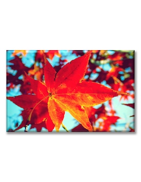 Cuadro Decorativo Industria Gráfica Ciento 23 Hojas De Otoño