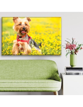 Cuadro decorativo Industria Grafica Ciento 23 Yorkshire terrier en el pasto