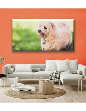 Cuadro decorativo Industria Grafica Ciento 23 Dandie terrier