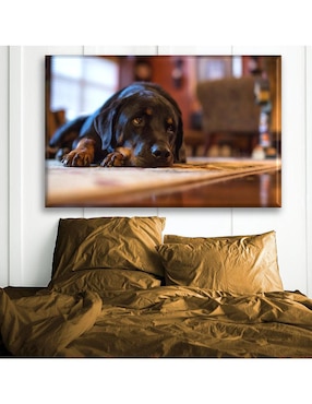 Cuadro decorativo Industria Grafica Ciento 23 Rottweiler acostado
