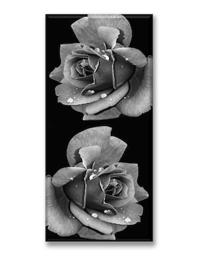 Cuadro decorativo Industria Grafica Ciento 23 Rosa con rocío