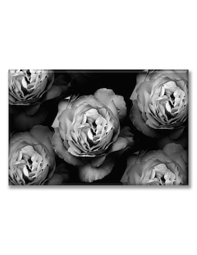 Cuadro decorativo Industria Grafica Ciento 23 Rosas en blanco y negro