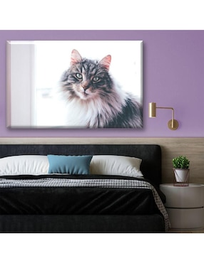 Cuadro decorativo Industria Grafica Ciento 23 Gato de pelaje largo
