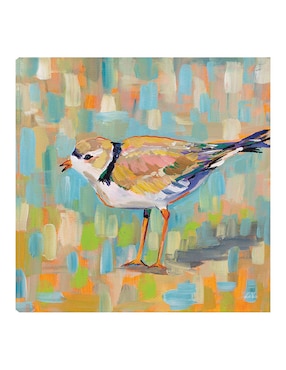 Cuadro decorativo Chorlito Costero IV técnica mixta Cuadros Jr Aves Silvestres