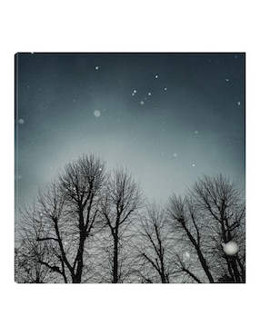 Cuadro decorativo Cielo de invierno técnica mixta Cuadros Jr Bosques