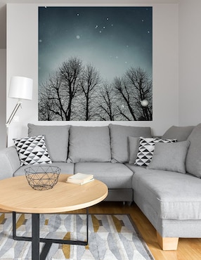 Cuadro decorativo Cielo de invierno técnica mixta Cuadros Jr Bosques